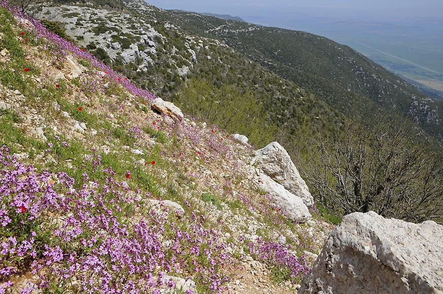 Landscape near Slunfah