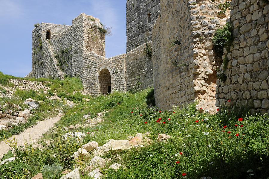 Saladin Castle