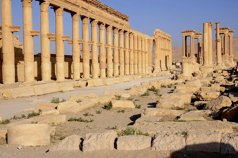 Grand Colonnade of Palmyra