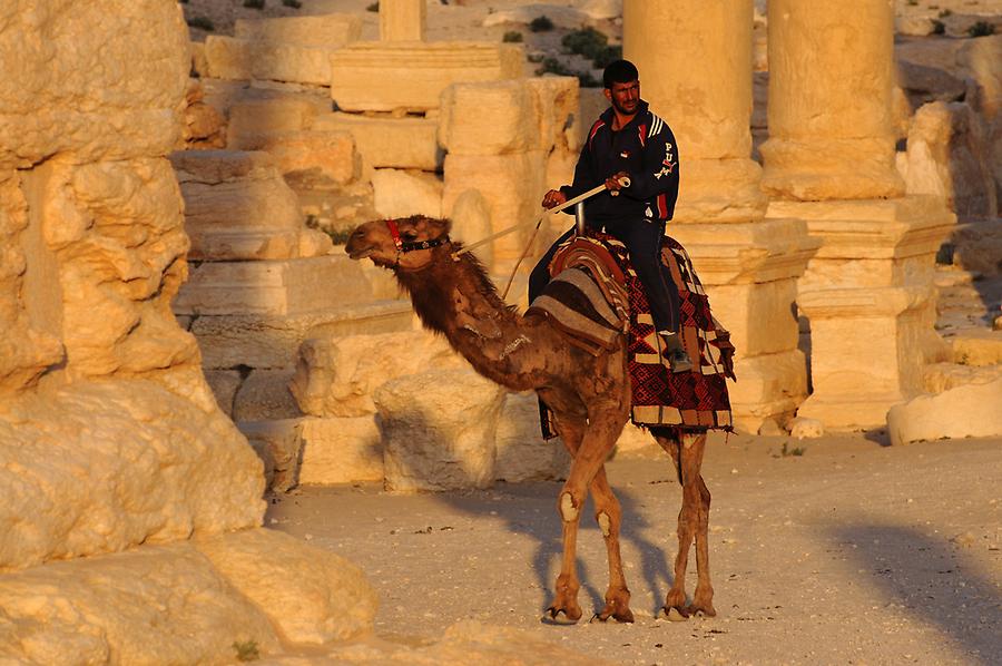 Grand Colonnade at Palmyra