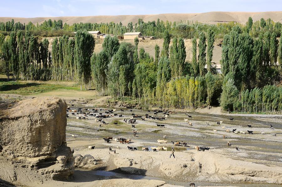 Landscape near Istaravshan