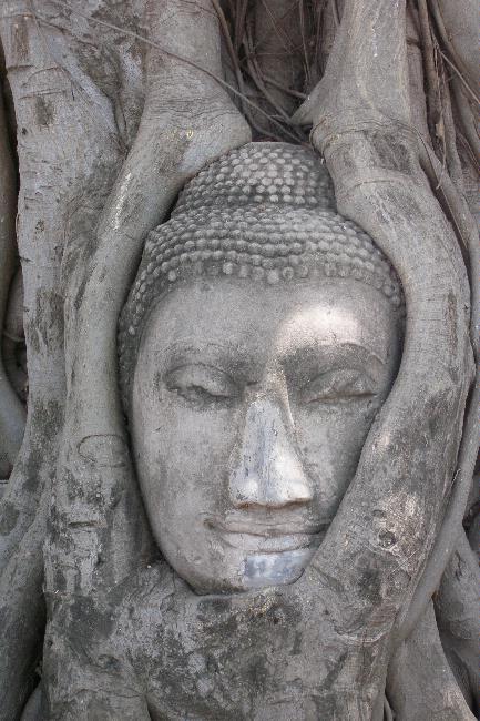 Ayutthaya Buddha