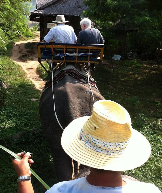 Riding elephants