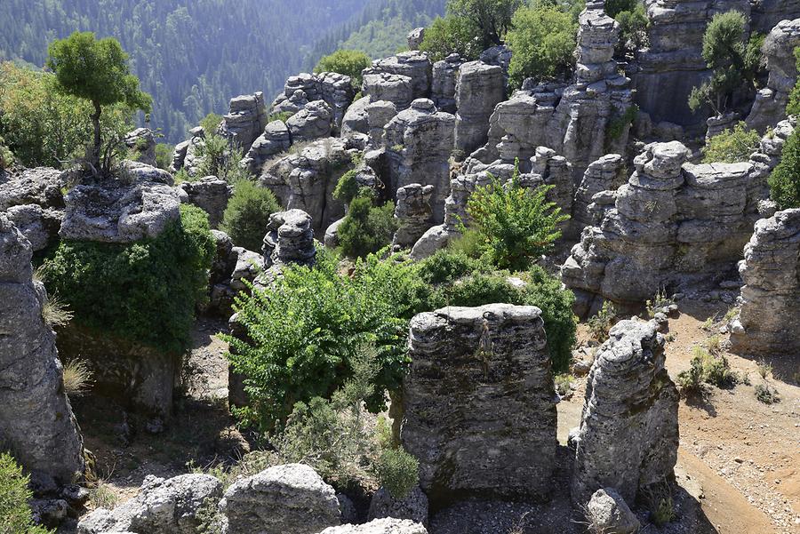 Köprülü Canyon National Park