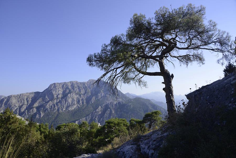 Termessos - Necropolis; South, Summit