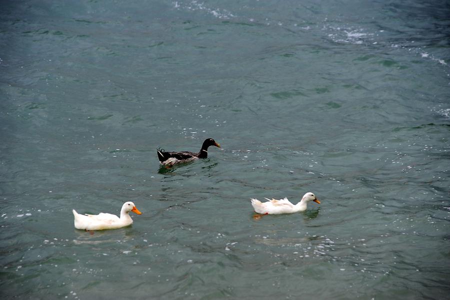 Lake Eğirdir