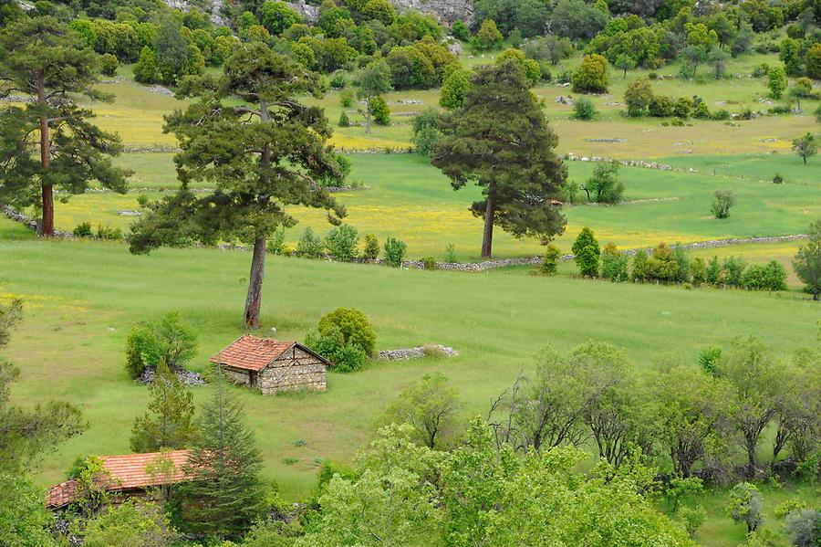 Landscape surrounding Candir