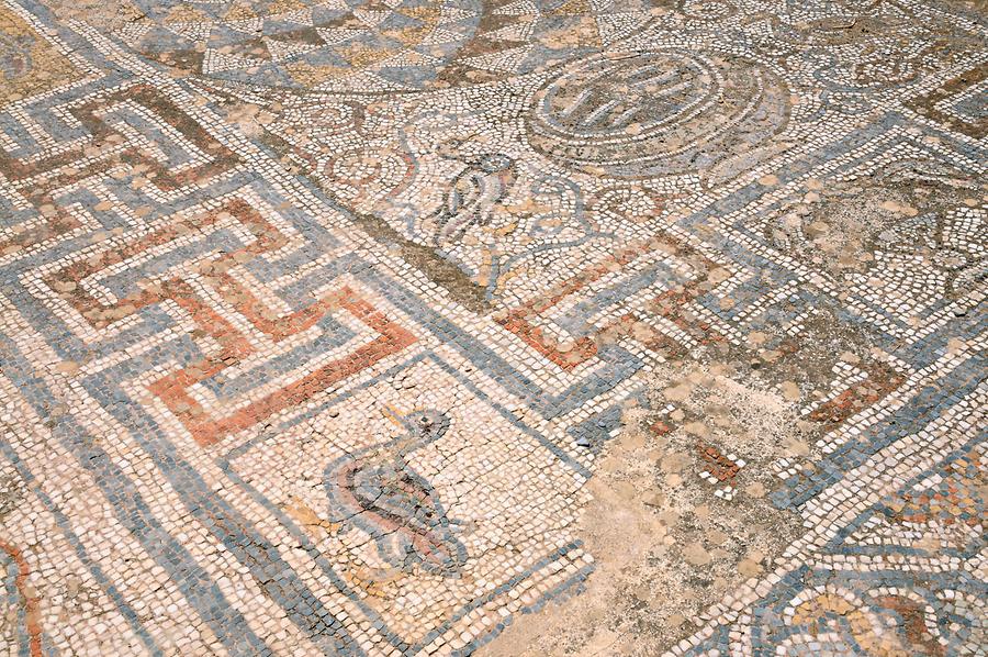 Curetes Street - Mosaic