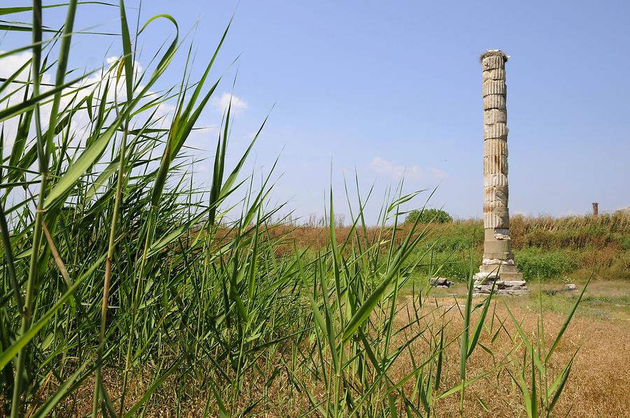 Temple of Artemis