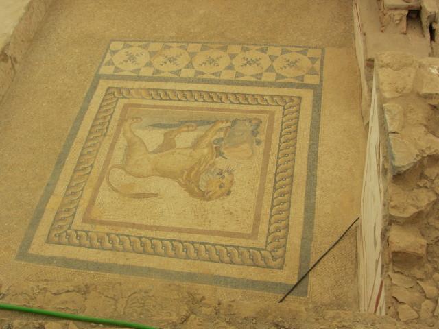 Floor mosaic