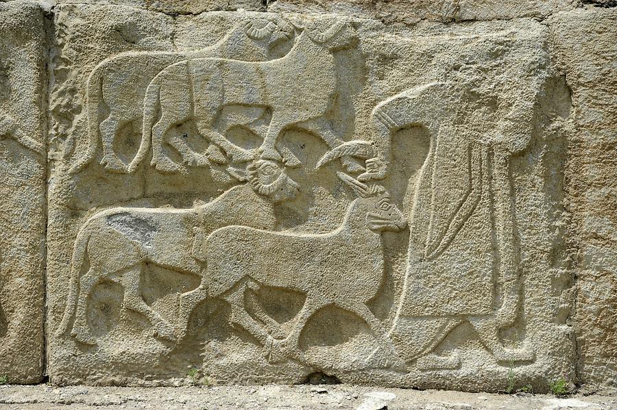 Walls covered with Reliefs at Alaca Höyük