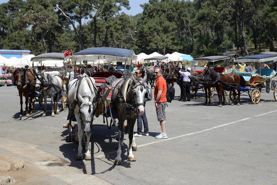 Prince Islands - Horse-Drawn Vehicles