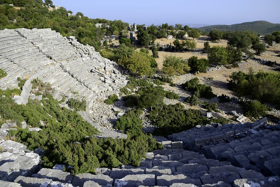 Cyaneae - Theatre