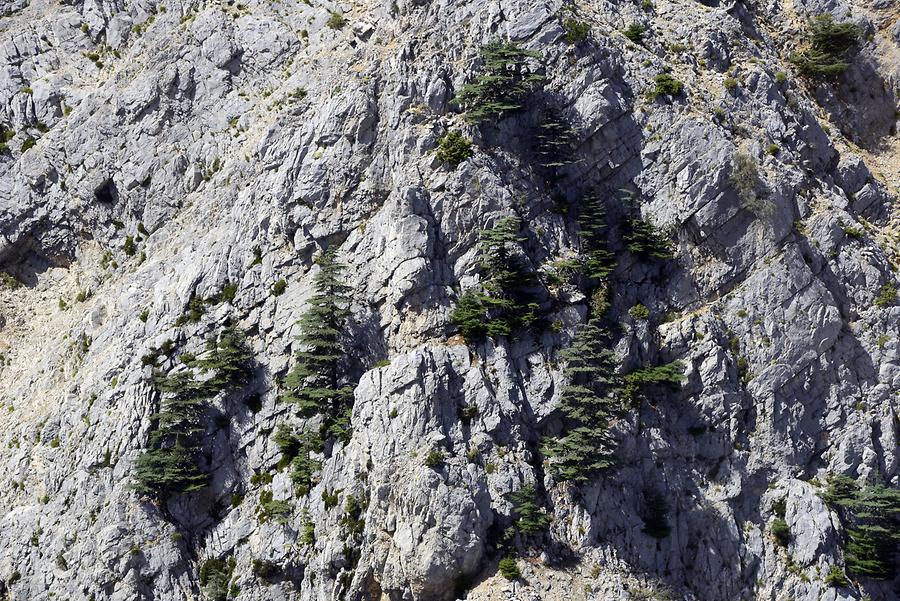 Lycian Olympus - Cable Car