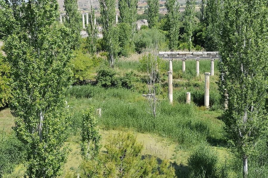 Aphrodisias