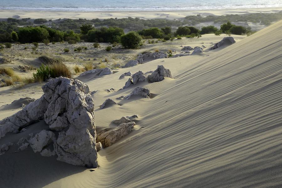 Patara - Sand Dunes