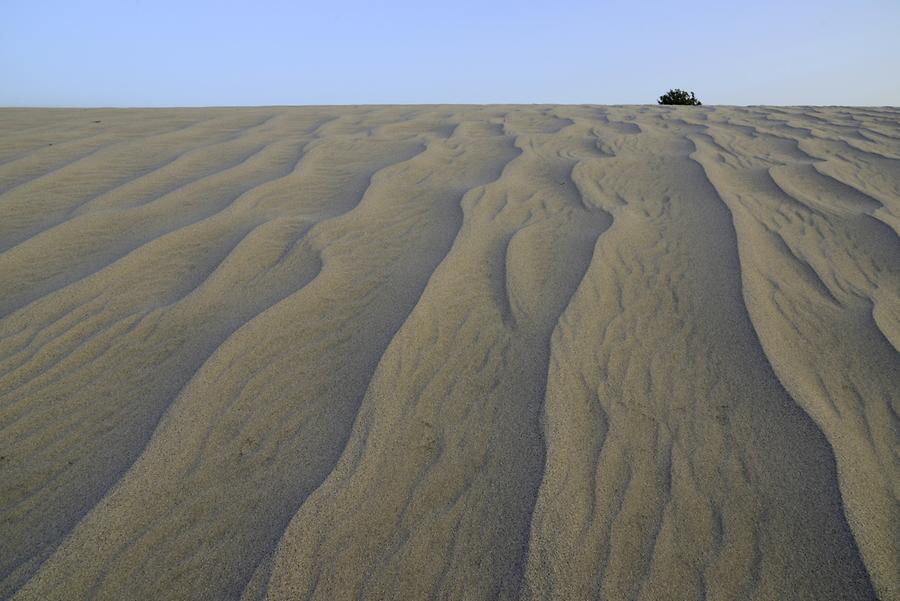 Patara - Sand Dunes