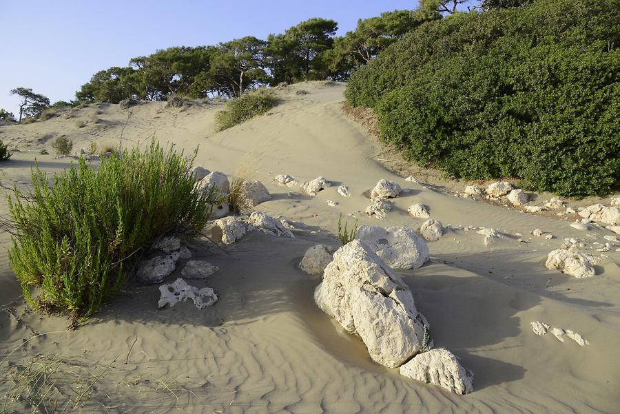 Patara - Sand Dunes