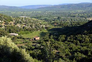 Landscape near Troy (3)