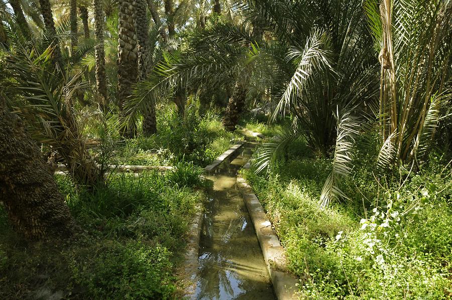 Falaj Al Ain Oasis