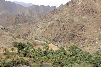 Wadi Hayl Fujairah (1)