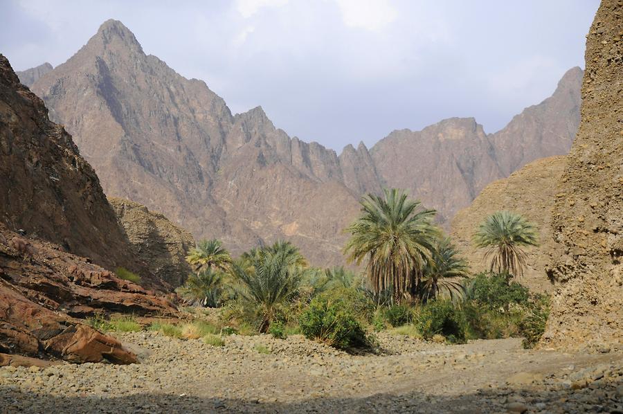 Wadi near Hatta