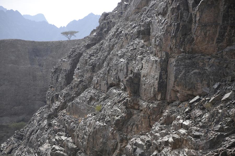 Wadi near Hatta