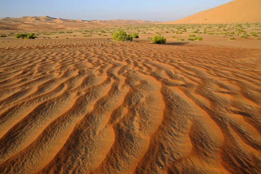 Desert near Qasr al Sarab