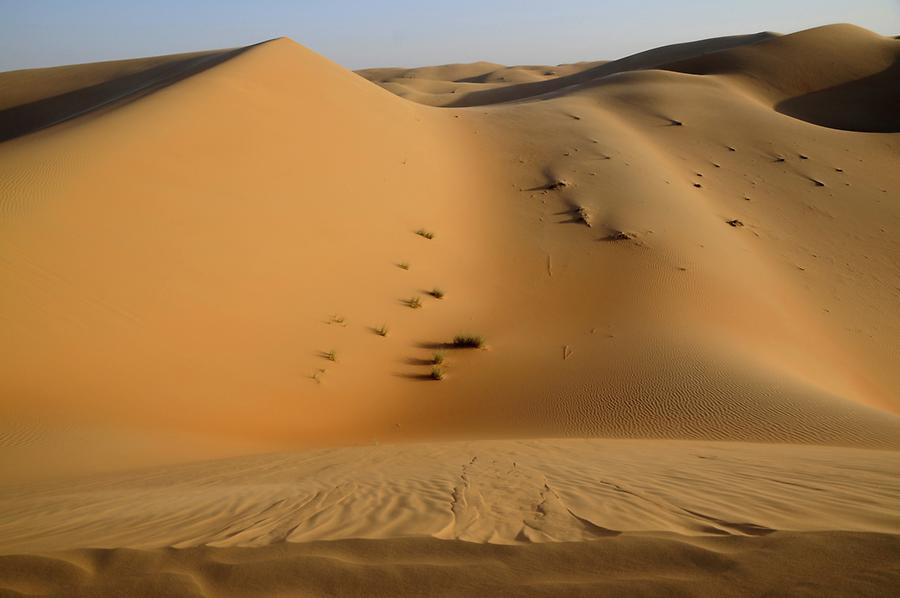 Desert near Qasr al Sarab