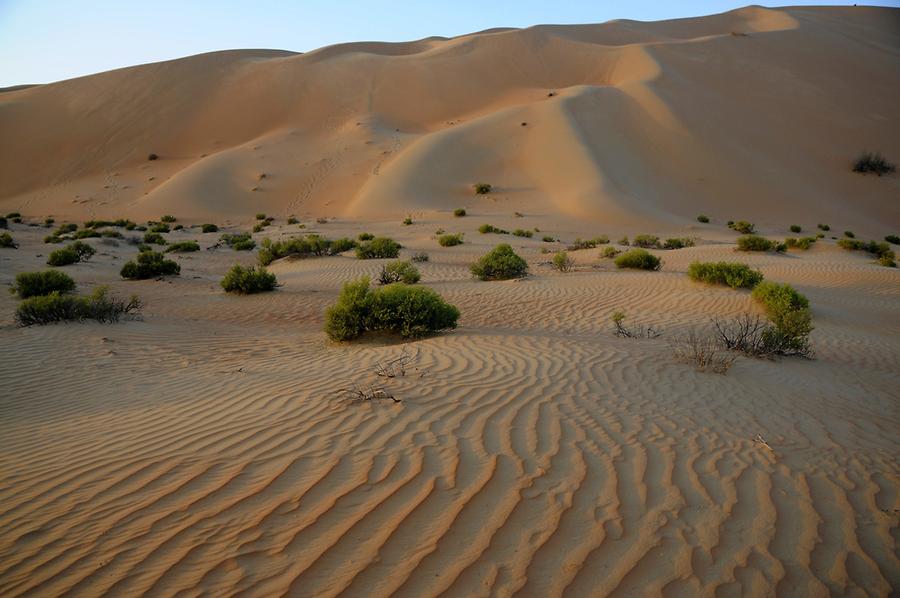 Desert near Qasr al Sarab