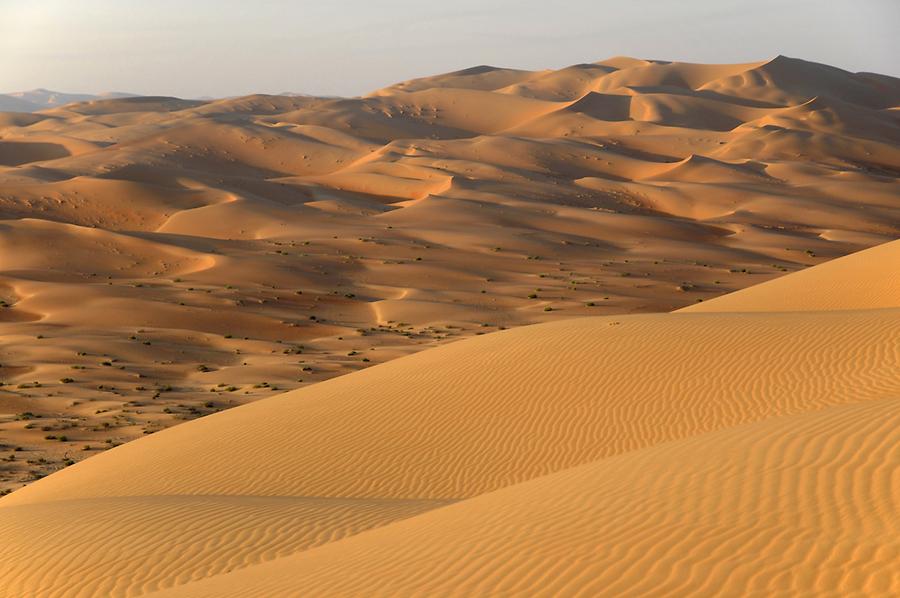 Desert near Qasr al Sarab