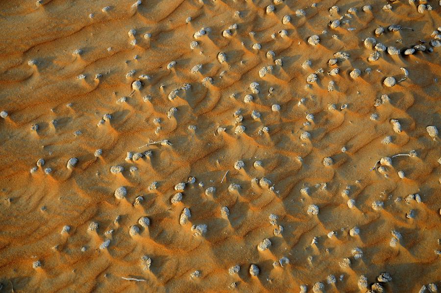 Sand Structure