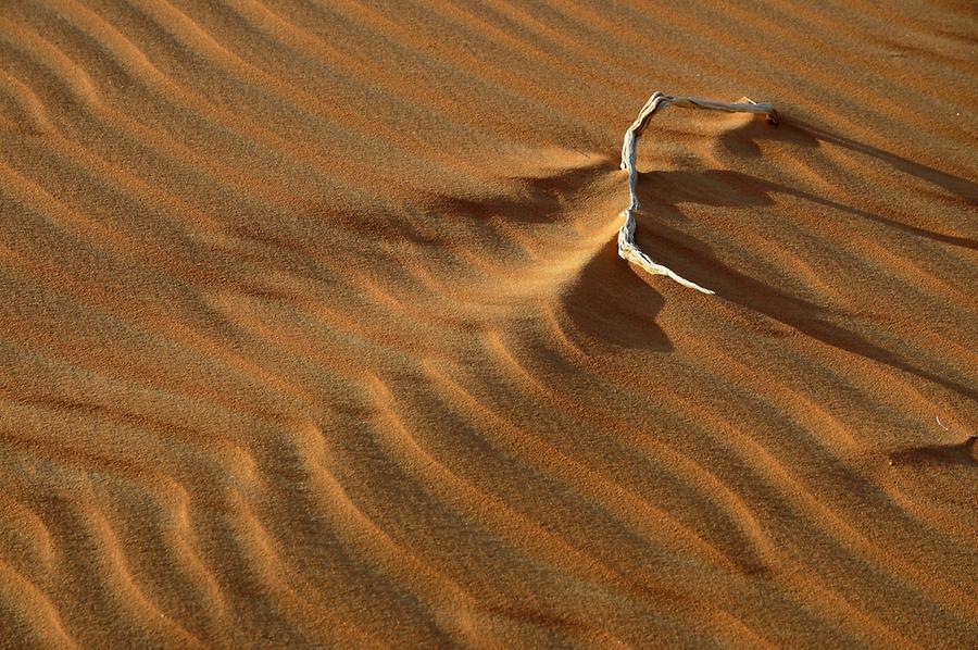 Sand Structure