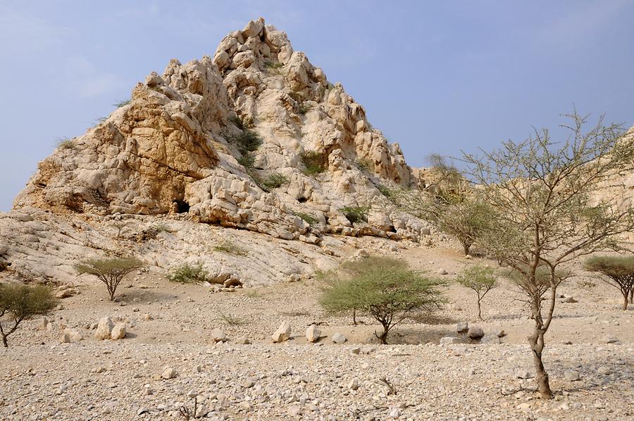 Landscape at Shimal