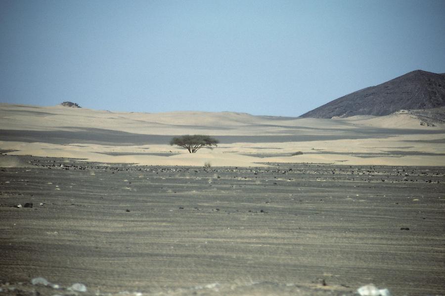 Near Marib