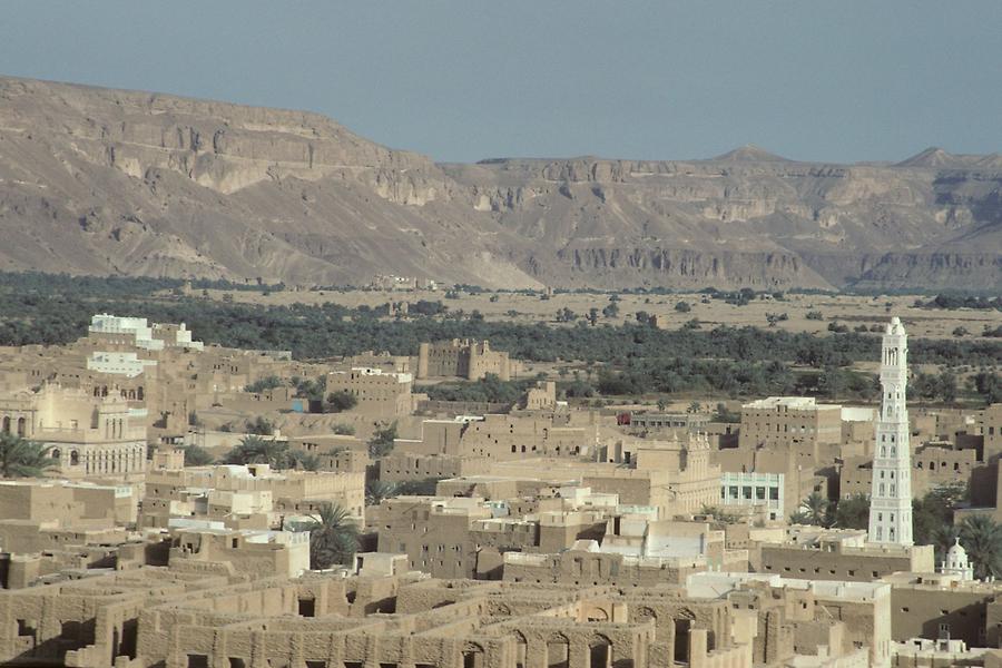 Tarim