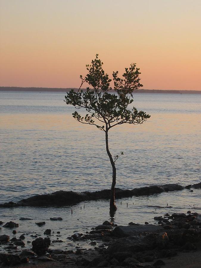 Evening at the beach of Darwin