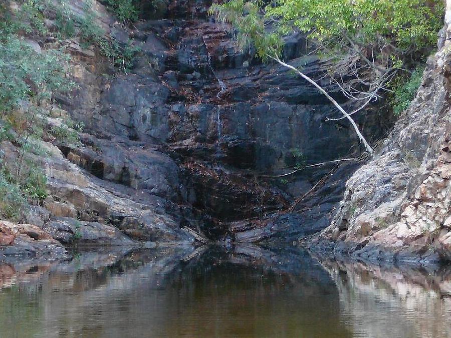 Butterfly Springs