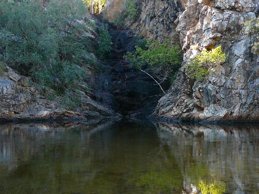 Butterfly Springs