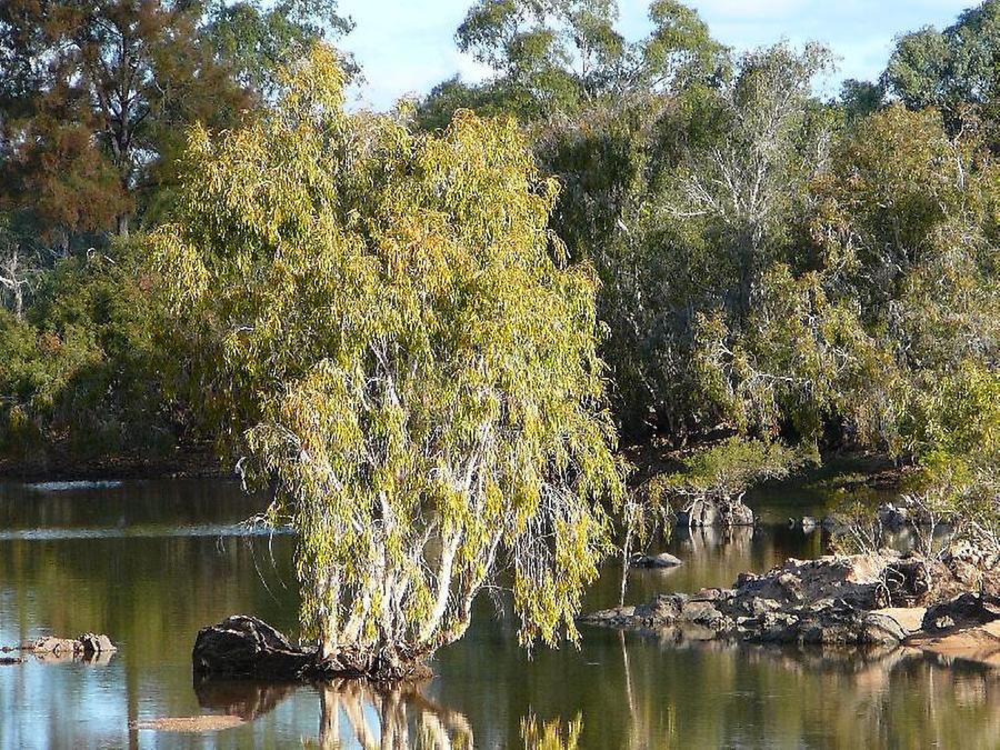 River in the dry season