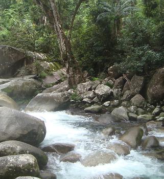 Northern Queensland