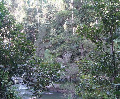 Eungella National Park