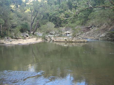 Eungella National Park