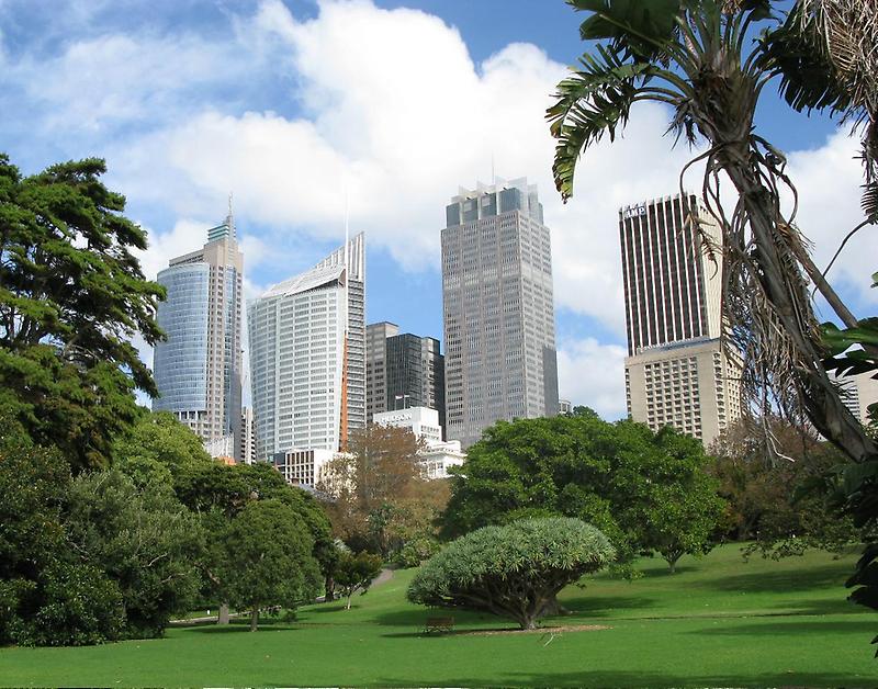 Skyscrapers, Sydney