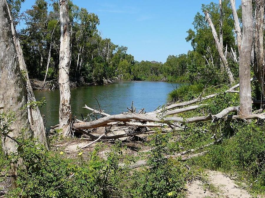 Eastern Alligator River