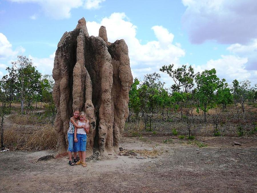 Termite mound