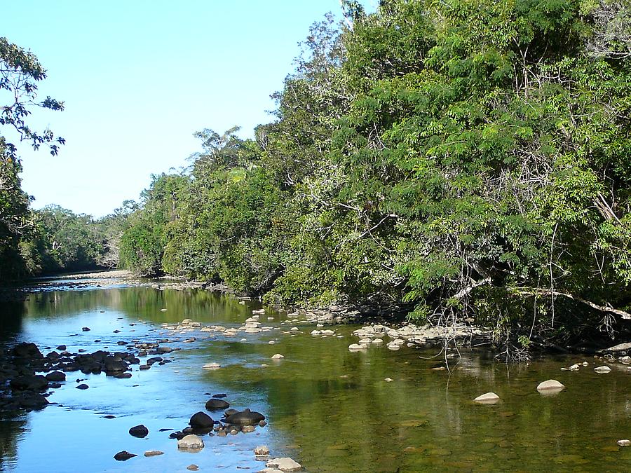 Crocodile pool