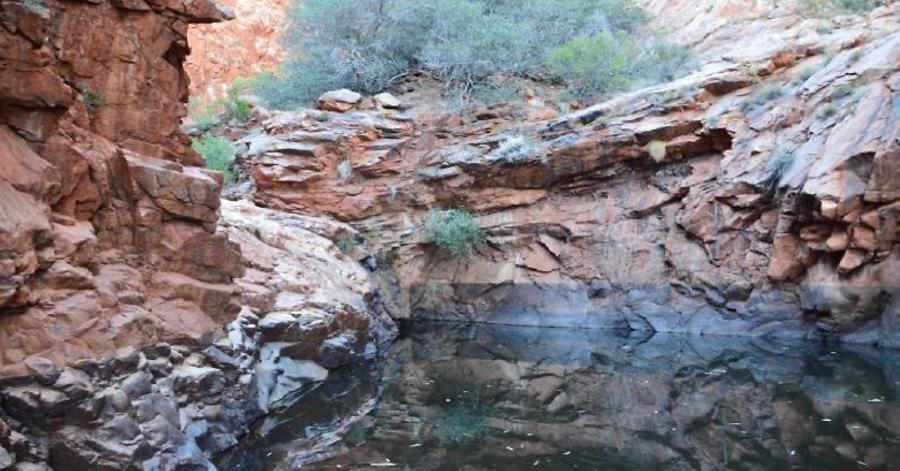 The permanent water of Bungabiddy Rockhole, Foto: Heinz Dreher