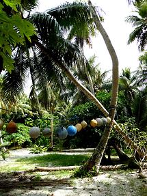 Ngulu Atoll - Only Resident (2)