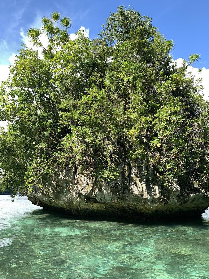 Island in Shallow Water